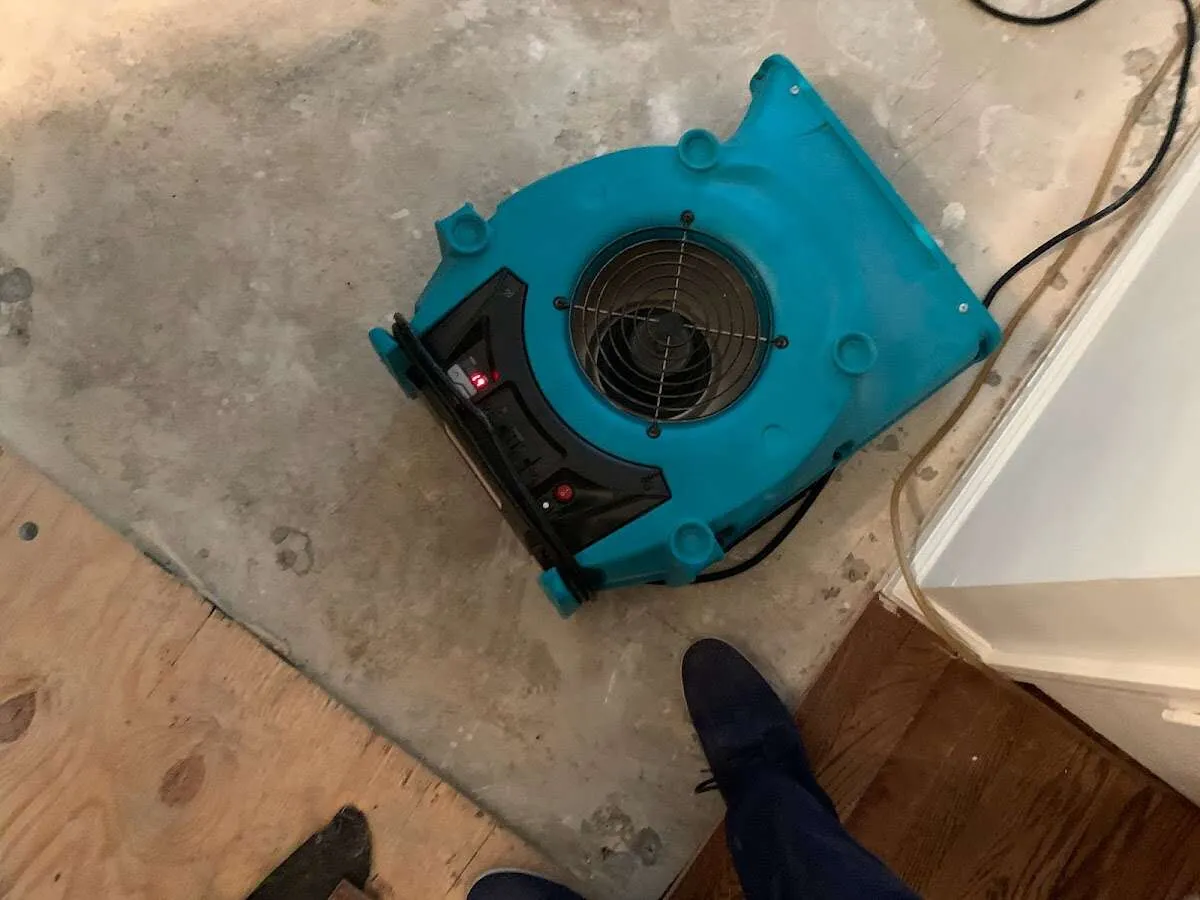 Air mover drying subfloor during Commercial Water Damage Restoration in Scottdale